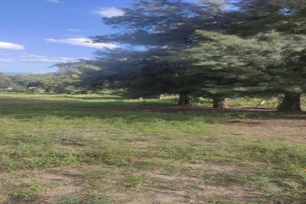 Foto de inmueble en Amado Partido Luna, Col. Lomas de Tejeda C.P. 45641, Tlajomulco de Zúñiga