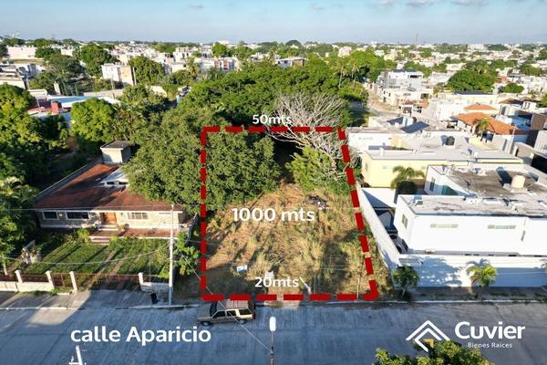 Foto de inmueble en Aparicio, Col. El Charro C.P. 89364, Tampico