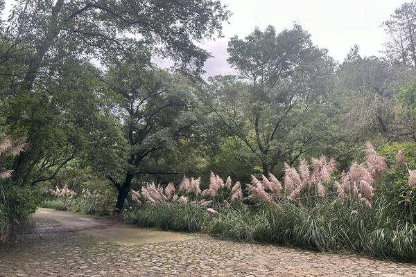 Foto de inmueble en Arteaga y Salazar, Col. Contadero C.P. 05500, Cuajimalpa de Morelos