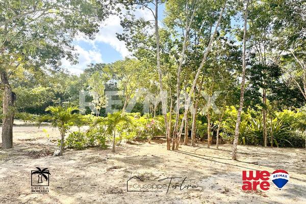Foto de inmueble en AVENIDA COBA, Col. Guerra de Castas C.P. 77760, Tulum