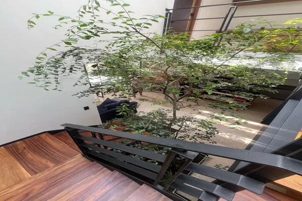 Foto de inmueble en Av. Heroico colegio militar #37, Col. Buenavista C.P. 62130, Cuernavaca