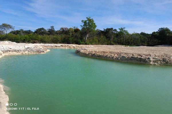 Foto de inmueble en TERRENO DE INVERSIÓN EN AKUMAL CON LAGUNA Y CENOTE, Col. Akumal C.P. 77776, Tulum