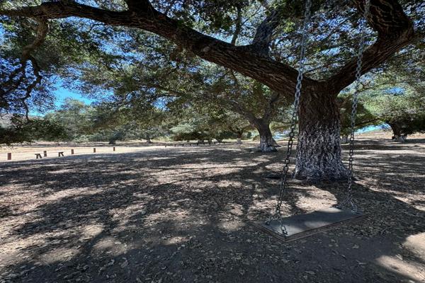 Foto de inmueble en Carret El Tigre  El Porvenir, Col. Villa de Juárez (San Antonio de las Minas) C.P. 22766, Ensenada