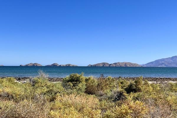 Foto de inmueble en  , Col. Bahía de los Ángeles C.P. 22980, Ensenada
