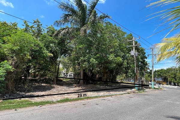 Foto de inmueble en  , Col. Barrio Bravo C.P. 77098, Othón P. Blanco