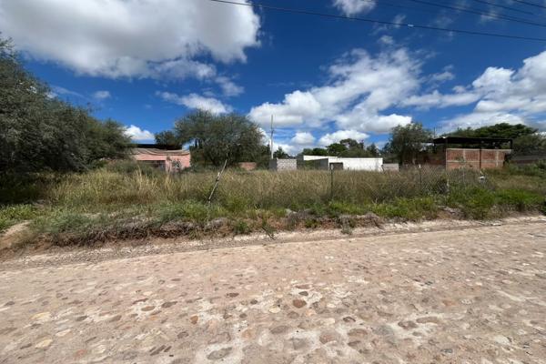 Foto de inmueble en San Miguel de Allende - Dolores Hidalgo 81, Viñedo, 37800 Dolores Hidalgo Cuna de la Independencia N #81, Col. El Pretorio C.P. 37800, Dolores Hidalgo Cuna de la Independencia Nacional