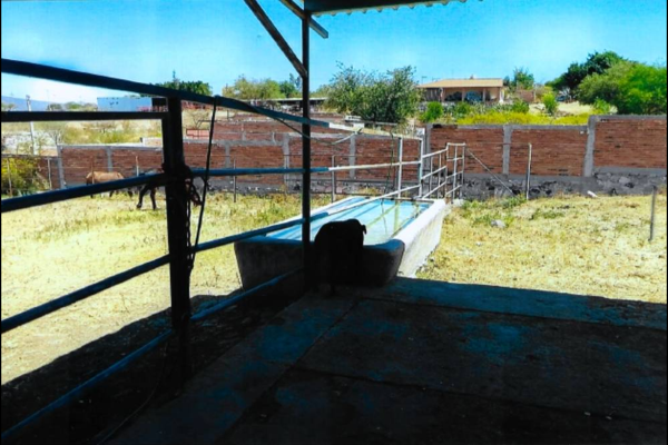 Foto de inmueble en niños heroes #110, Col. Atequiza C.P. 45860, Ixtlahuacán de los Membrillos