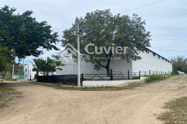 Foto de inmueble en C3WV+X7F Ricardo Flores Magón, Tamaulipas, Col. Real Altamira C.P. 89603, Altamira