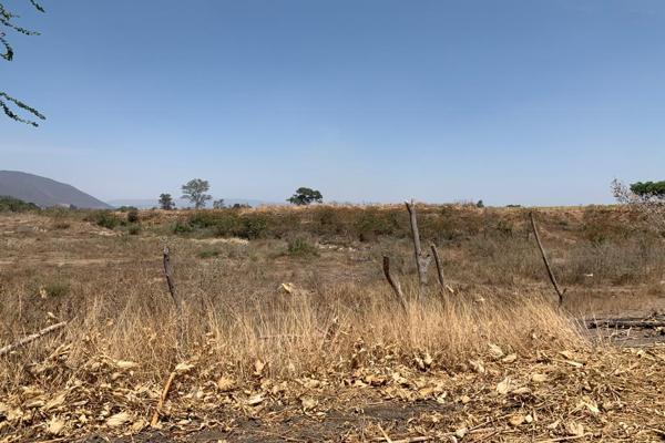 Foto de inmueble en Carretera a san Isidro mazatepec, Col. Soledad de Cruz Vieja C.P. 45644, Tlajomulco de Zúñiga