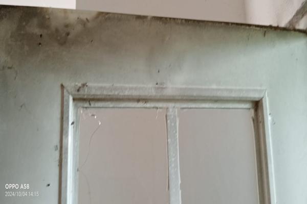 Foto de inmueble en Paseo Palma de Fiji #6a, Col. Privanzas C.P. 91697, Veracruz