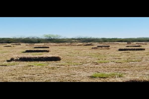 Foto de inmueble en  , Col. Cadereyta C.P. 67485, Cadereyta Jiménez