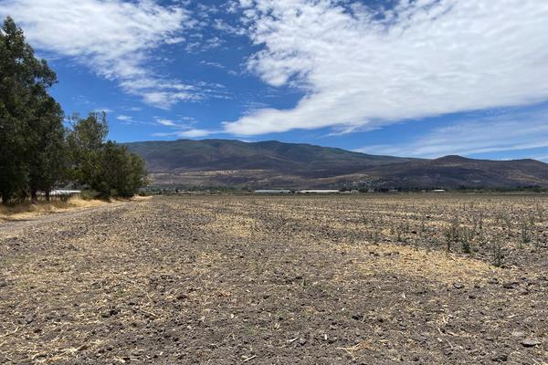 Foto de inmueble en Camino a los Invernaderos, Col. San Miguel Cuyutlan C.P. 45660, Tlajomulco de Zúñiga