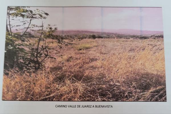 Foto de inmueble en Camino buenavista valle de juarez #100, Col. Valle de Juárez C.P. 49540, Valle de Juárez