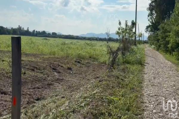 Foto de inmueble en Camino chijolar, Col. Chijolar C.P. 92770, Tuxpan