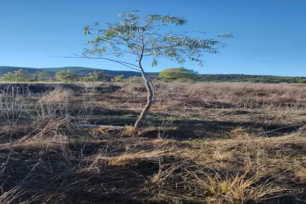 Foto de inmueble en Cam. Rincon de los pastores #1, Col. Lagunilla C.P. 49350, Tapalpa