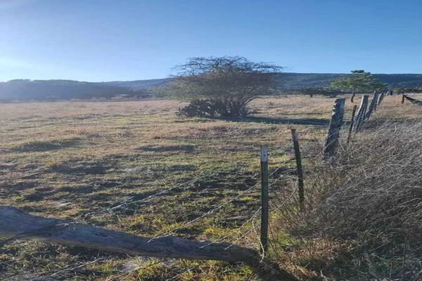 Foto de inmueble en Cam. Rincón de los pastores., Col. Tapalpa C.P. 49340, Tapalpa