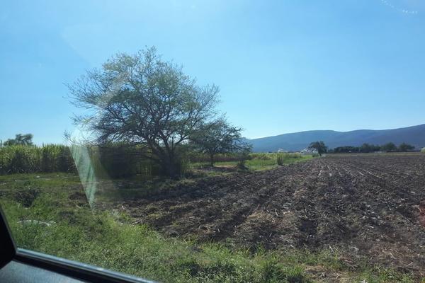 Foto de inmueble en Campo Chamilpa, Col. Diego Ruiz C.P. 62739, Yautepec