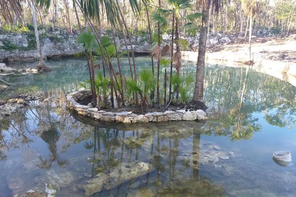 Foto de inmueble en Carretera Coba, Col. Tumben Kaa C.P. 77760, Tulum