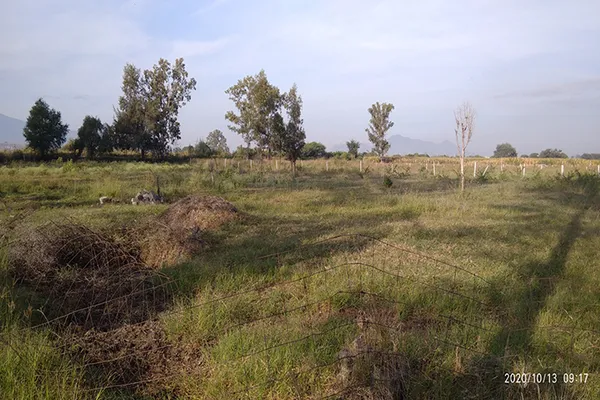 Foto de inmueble en Carretera el Zapote #25, Col. Villa Corona Centro C.P. 45730, Villa Corona