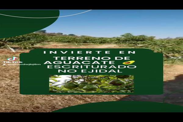 Foto de inmueble en Carretera tapalpa - lagunilla, Col. La Cruz C.P. 49356, Tapalpa