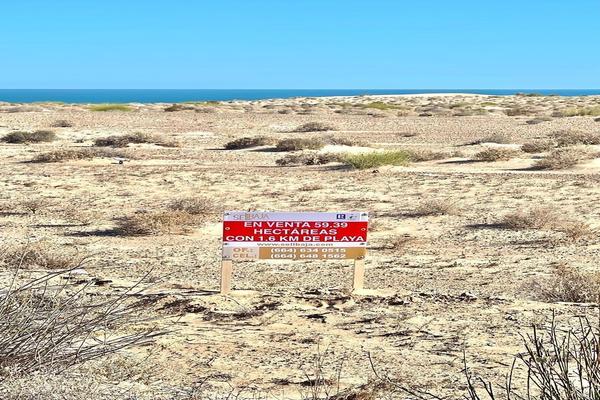 Foto de inmueble en Cerro la Ballena, Col. Puerto Peñasco Centro C.P. 83550, Puerto Peñasco