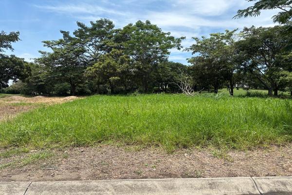 Foto de inmueble en , Col. Chiapa C.P. 28530, Cuauhtémoc