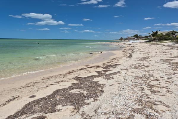Foto de inmueble en , Col. Chicxulub Puerto C.P. 97330, Progreso