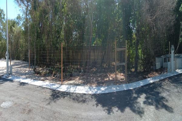 Foto de inmueble en Circuito Chinchorro #56, Col. Cruz de Servicios C.P. 77723, Solidaridad