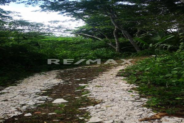 Foto de inmueble en COBÁ, Col. Coba C.P. 77793, Tulum