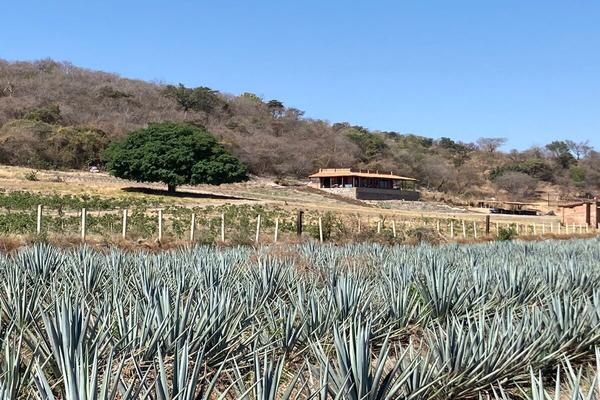 Foto de inmueble en Cuisillos, Col. El Ranchito C.P. 45307, Tala