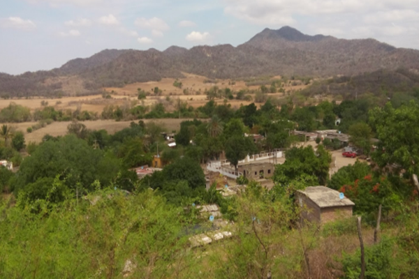 Foto de inmueble en EL MEZQUITE, Col. Tabalopa C.P. 81990, Sinaloa