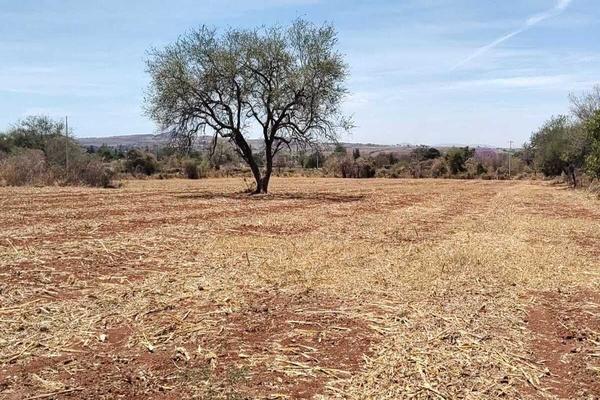 Foto de inmueble en De la huerta, Col. San Antonio Juanacaxtle C.P. 45880, Juanacatlán