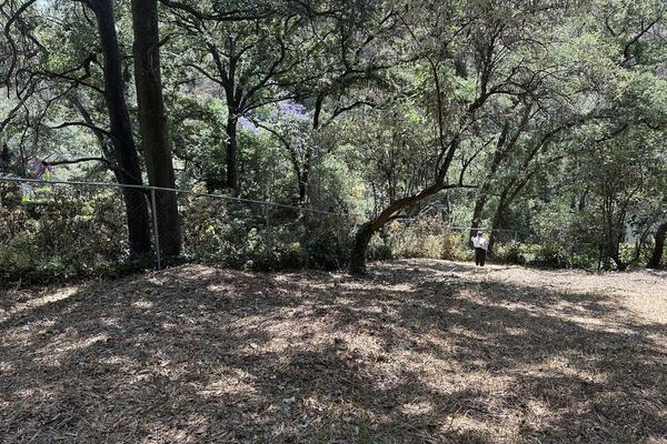 Foto de inmueble en Derecho, Col. Lomas Anáhuac C.P. 52786, Huixquilucan