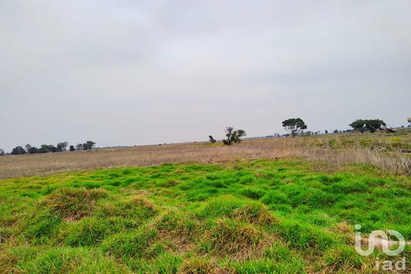 Foto de inmueble en DOMICILIO CONOCIDO, Col. Santa Cruz de Abajo C.P. 56205, Texcoco
