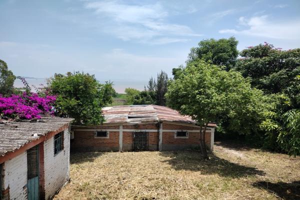 Foto de inmueble en Allende #248, Col. El Zapote C.P. 45964, Poncitlán