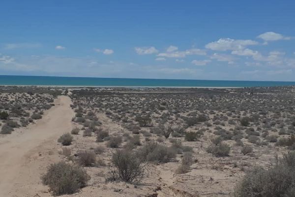 Foto de inmueble en Carretera Puerto Peñasco el Golfo Km. 11, Col. Raquime C.P. 83554, Puerto Peñasco