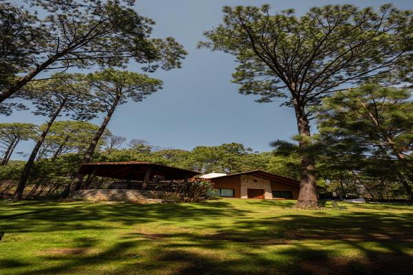 Foto de inmueble en Eduardo montaño sahagon, Col. Mazamitla C.P. 49500, Mazamitla