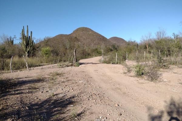 Foto de inmueble en  , Col. Ejidal C.P. 81916, Sinaloa
