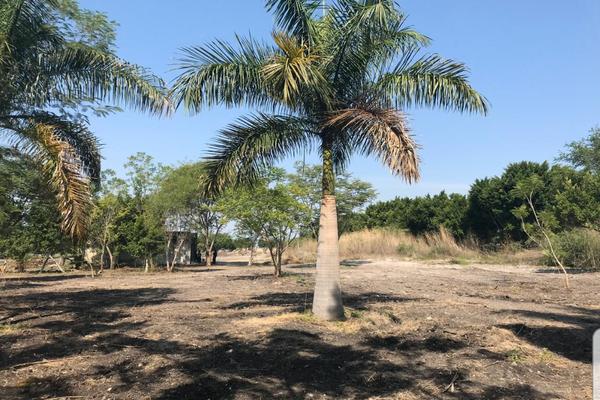 Foto de inmueble en EJIDO JICARERO, Col. Tequesquitengo C.P. 62915, Jojutla