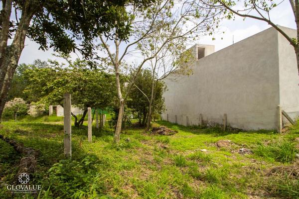 Foto de inmueble en  , Col. El Lencero C.P. 91640, Emiliano Zapata