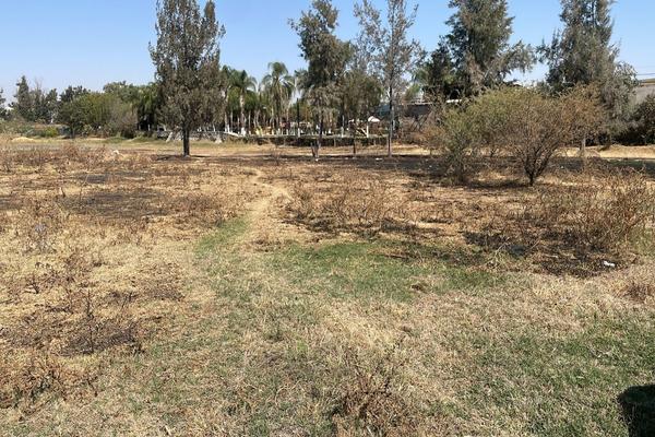 Foto de inmueble en  , Col. El Zapote Del Valle C.P. 45672, Tlajomulco de Zúñiga