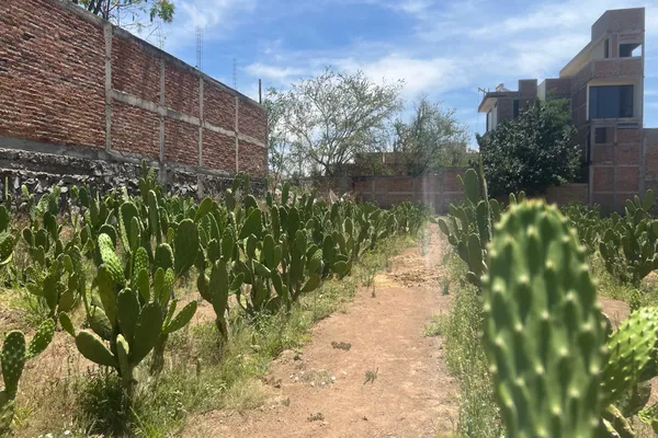 Foto de inmueble en EMILIANO ZAPATA #1235, Col. San Martín de las Flores de Abajo C.P. 45629, San Pedro Tlaquepaque