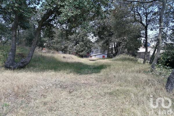 Foto de inmueble en Encinos, Col. Miguel Hidalgo 4A Sección C.P. 14250, Tlalpan