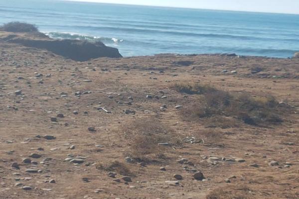 Foto de inmueble en Erendira, Col. Erendira C.P. 22904, Ensenada