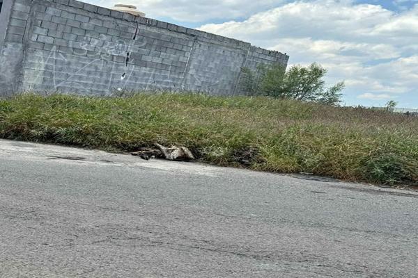 Foto de inmueble en ABASOLO , Col. INFONAVIT Arboledas C.P. 67484, Cadereyta Jiménez