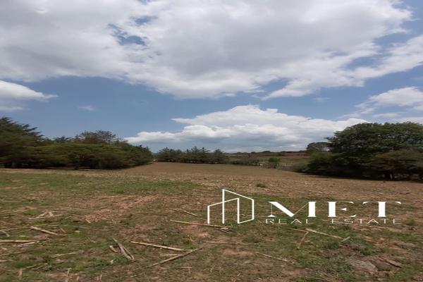 Foto de inmueble en Francisco I.Madero, Col. Barranca Del Refugio C.P. 49356, Tapalpa