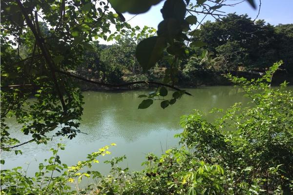 Foto de inmueble en , Col. Isla de Juana Moza C.P. 92770, Tuxpan