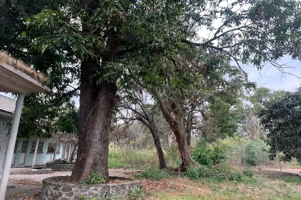 Foto de inmueble en Ixtlahuacan #00, Col. Ixtlahuacan C.P. 62732, Yautepec