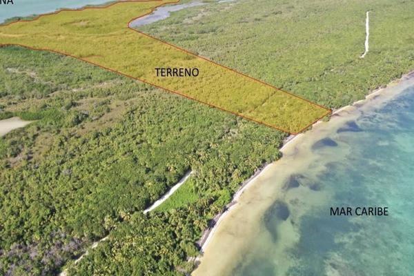 Foto de inmueble en  , Col. Javier Rojo Gómez (Punta Allen) C.P. 77768, Tulum