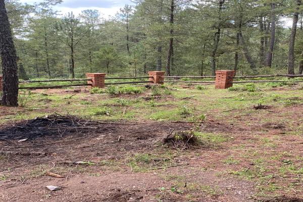 Foto de inmueble en  , Col. Juanacatlan C.P. 49360, Tapalpa